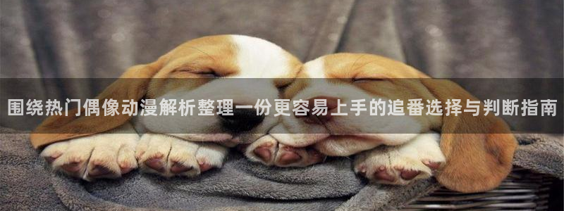 连载动画:围绕热门偶像动漫解析整理一份更容易上手的追番选择与判断指南