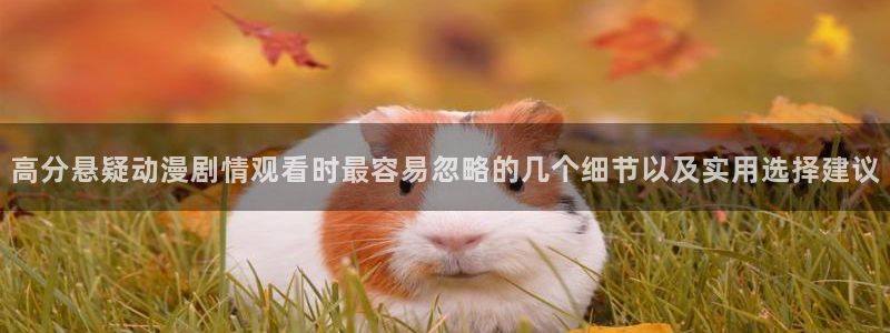 动漫新作榜:高分悬疑动漫剧情观看时最容易忽略的几个细节以及实用选择建议