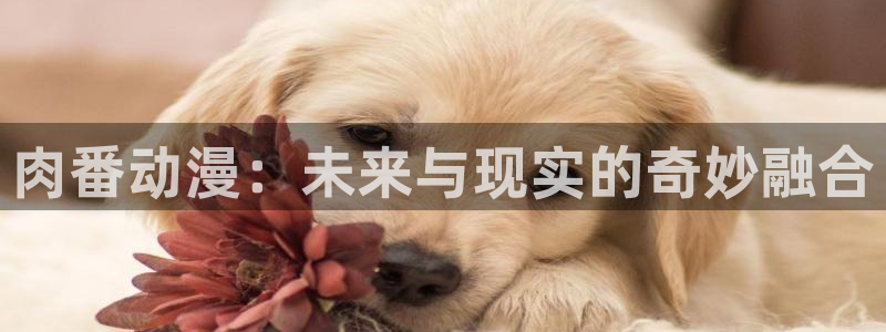 动漫每日推荐:肉番动漫:未来与现实的奇妙融合