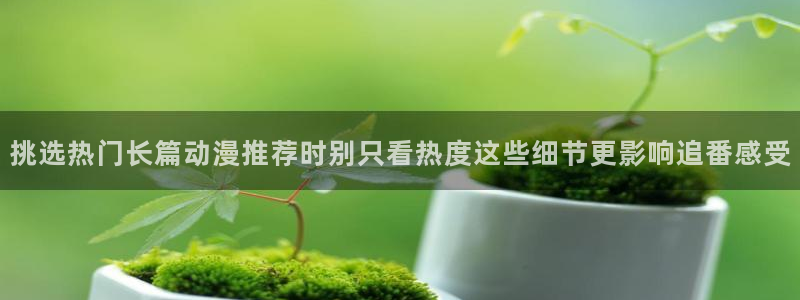 日漫推荐:挑选热门长篇动漫推荐时别只看热度这些细节更影响追番感受