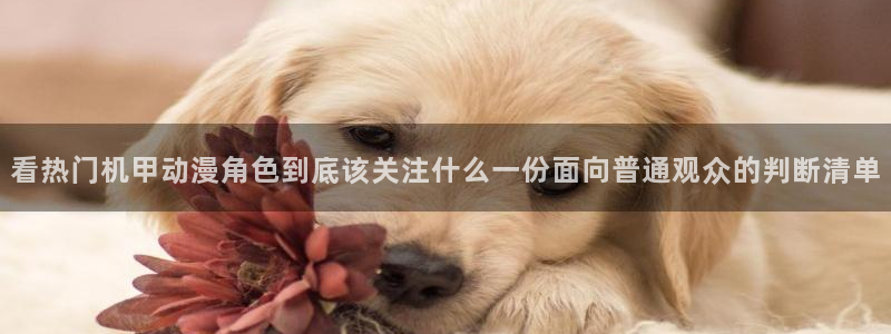 动漫新番榜:看热门机甲动漫角色到底该关注什么一份面向普通观众的判断清单