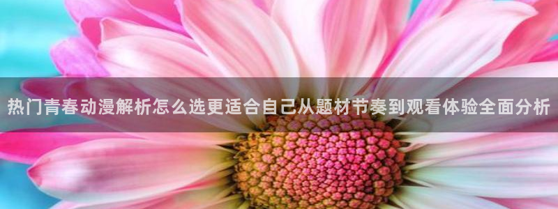 今日新番:热门青春动漫解析怎么选更适合自己从题材节奏到观看体验全面分析