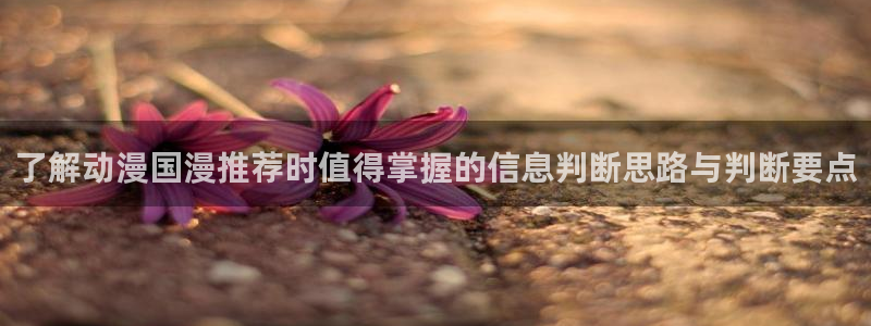 动漫番剧推荐：了解动漫国漫推荐时值得掌握的信息判断思路与判断要点