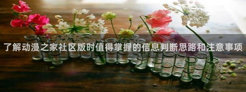 奇幻动漫推荐