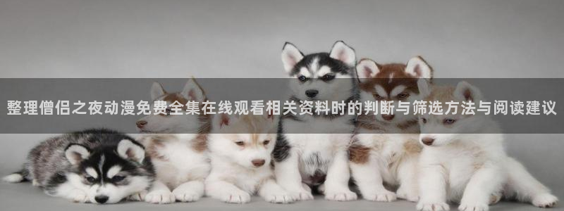 动漫网在线入口