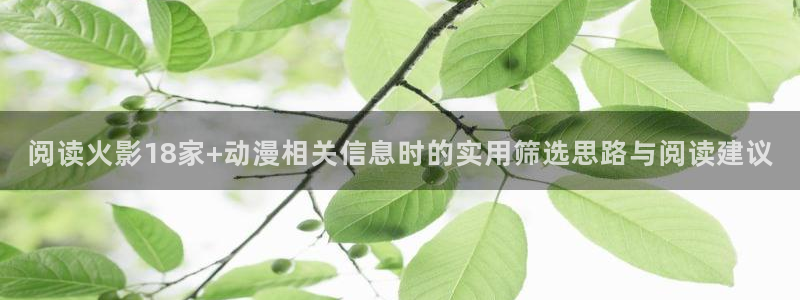动漫网页入口