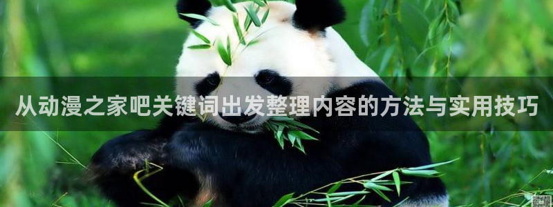 新番动画大全