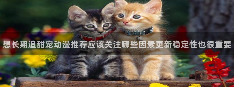 动漫网页入口