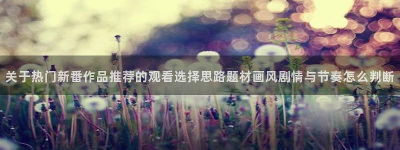 动漫网页版