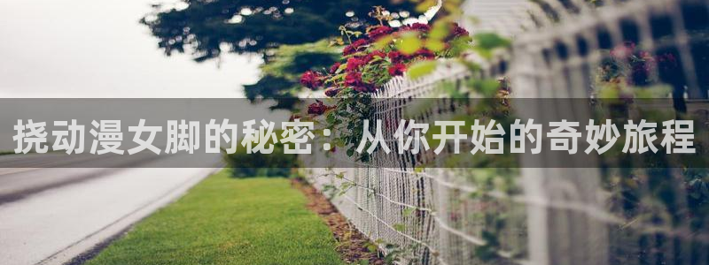 连载动漫