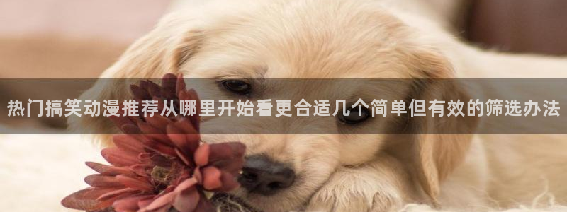 校园动漫推荐